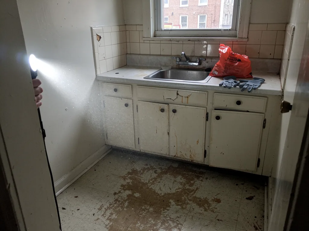 Recognizing Warning Signs of Biohazard in Philadelphia Homes